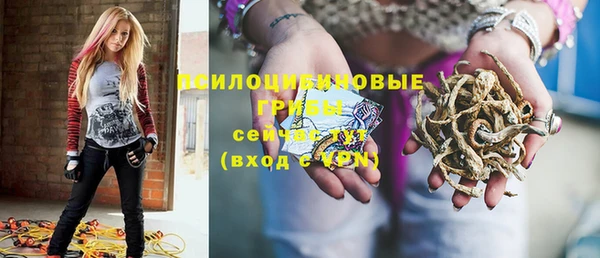 твердый Бронницы