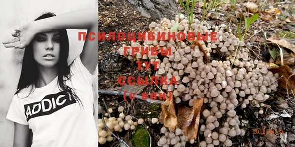 твердый Бронницы