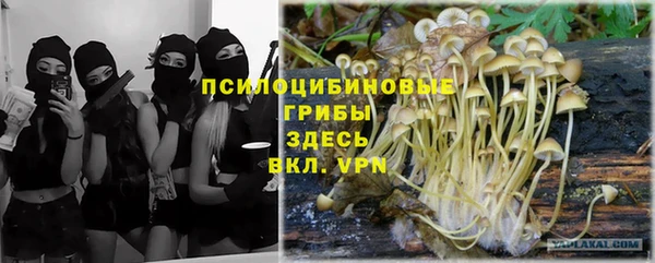 прущий лед Бугульма