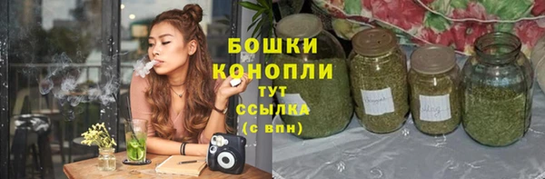 твердый Бронницы