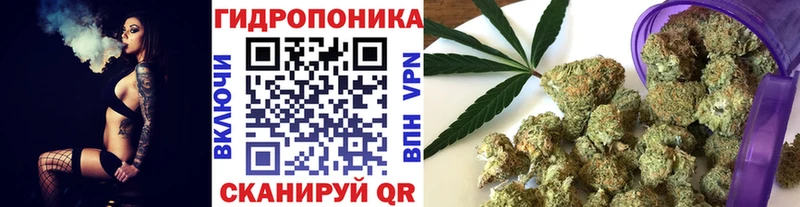 Канабис ГИДРОПОН  Медынь 